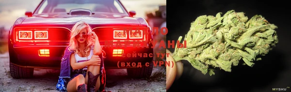 крисы Бугульма