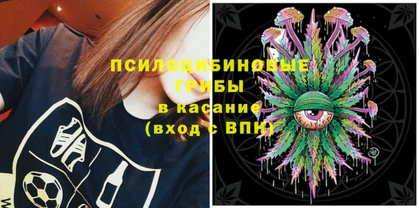 бутират Богородицк