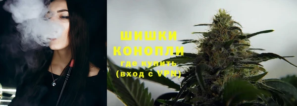 PSILOCYBIN Бронницы