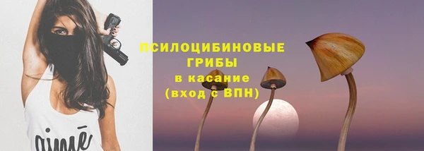 бутират Богородицк