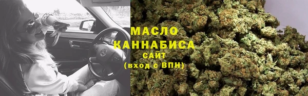 mdpv Бородино
