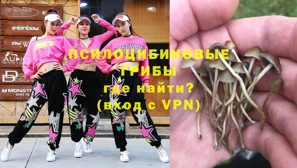 mdpv Бородино
