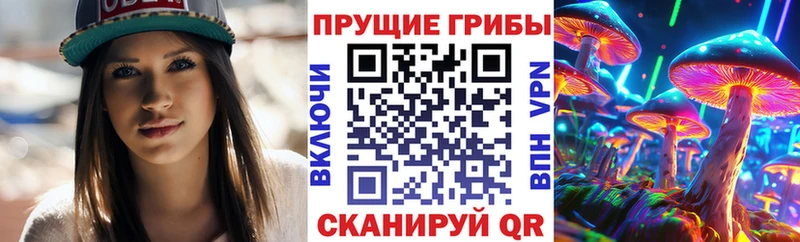 хочу наркоту  Суворов  Псилоцибиновые грибы мицелий 